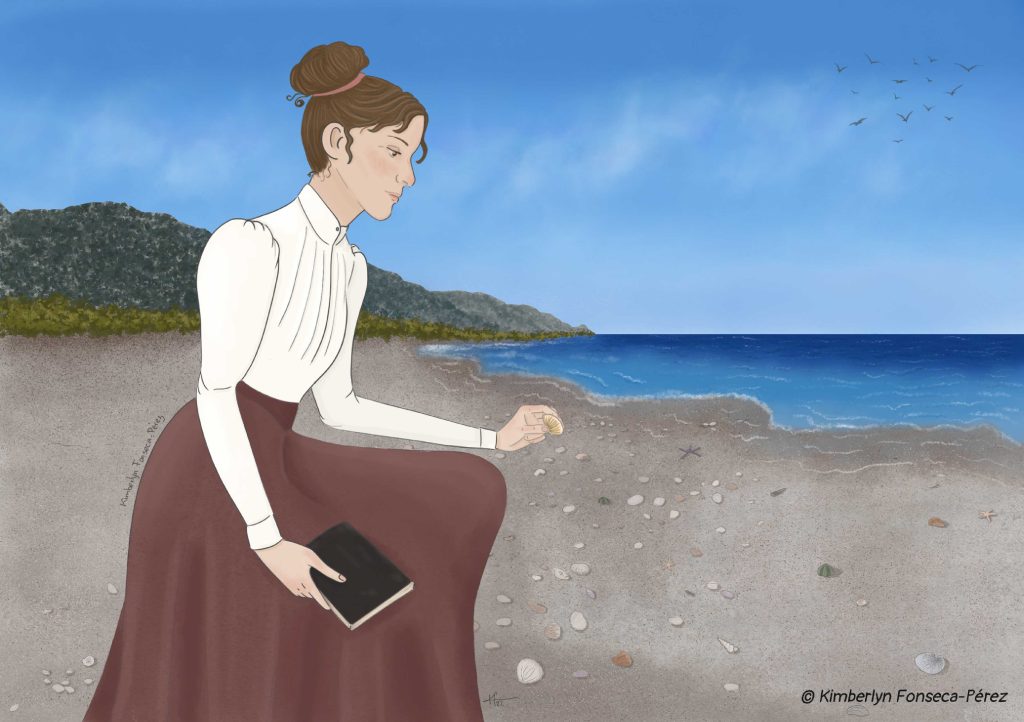 Ilustración sobre la naturalista francesa Jeanne Villepreux-Power que la muestra agachada en una playa, con su cuaderno de campo y viendo conchas de animales en la arena.